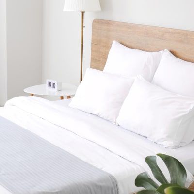 Placeholder Alt Text